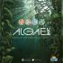 Algae Inc.